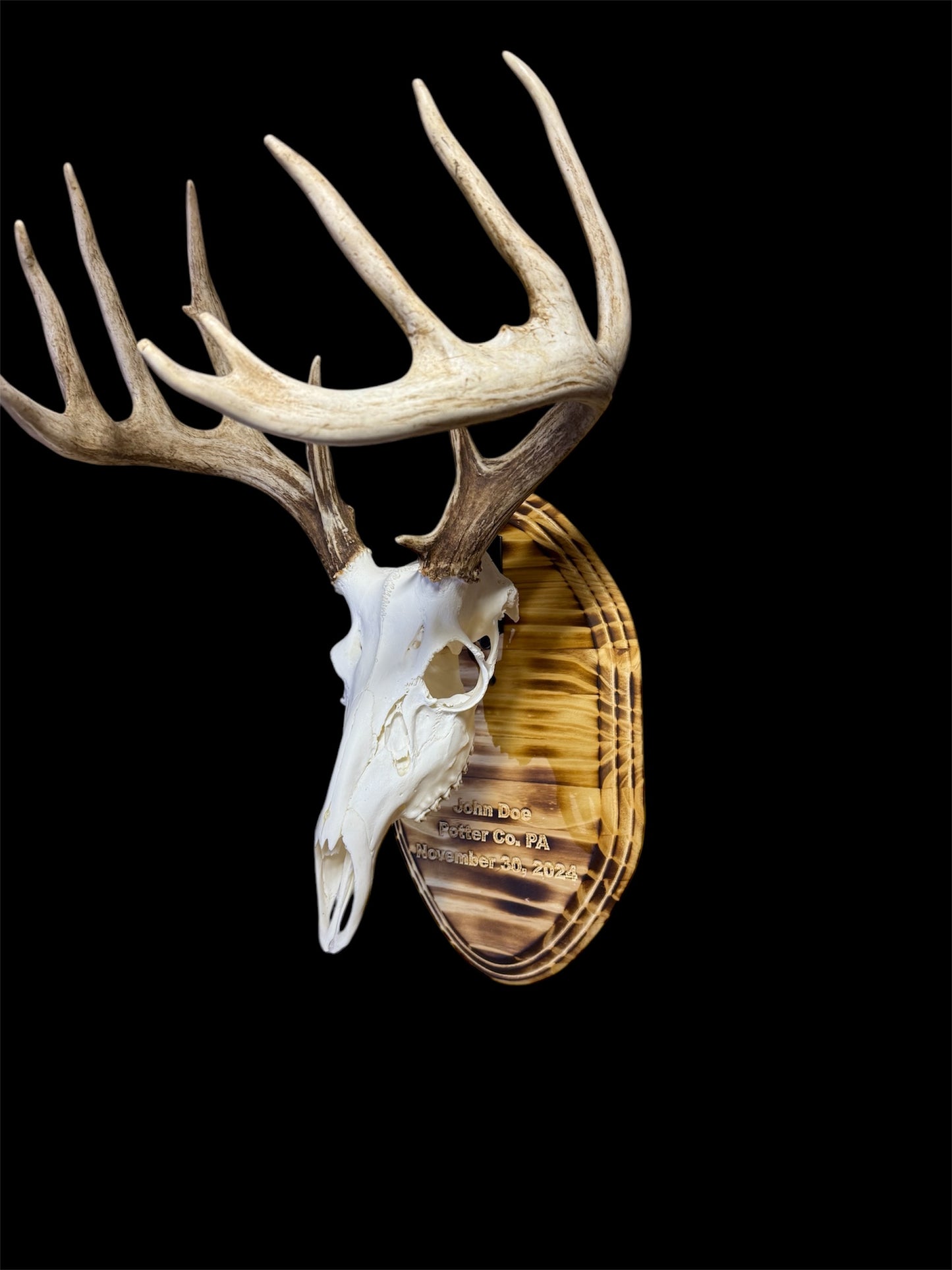 Custom Engraved European Mount Wall Display Plaque with Skull Hook