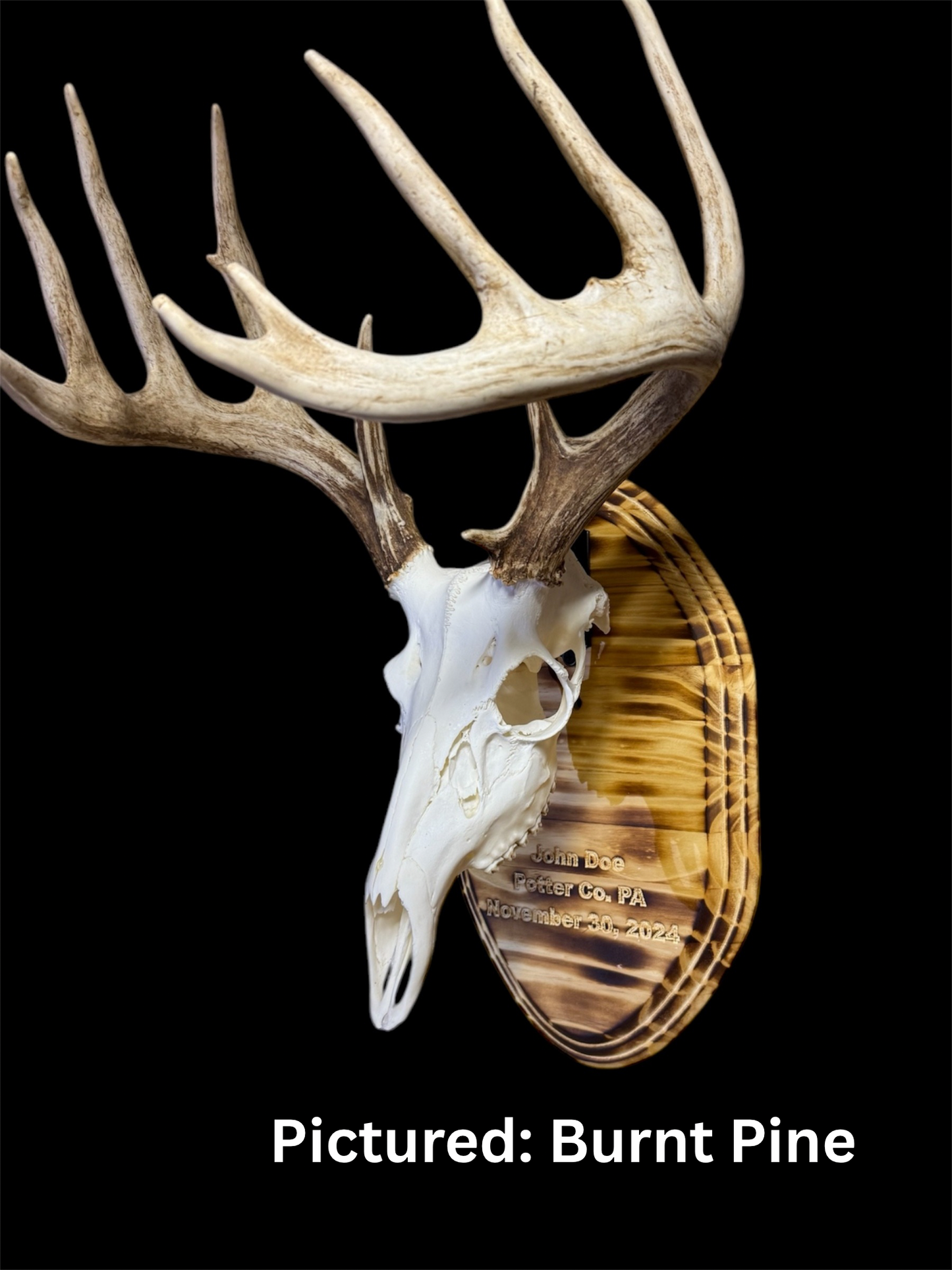 Custom Engraved European Mount Wall Display Plaque with Skull Hook