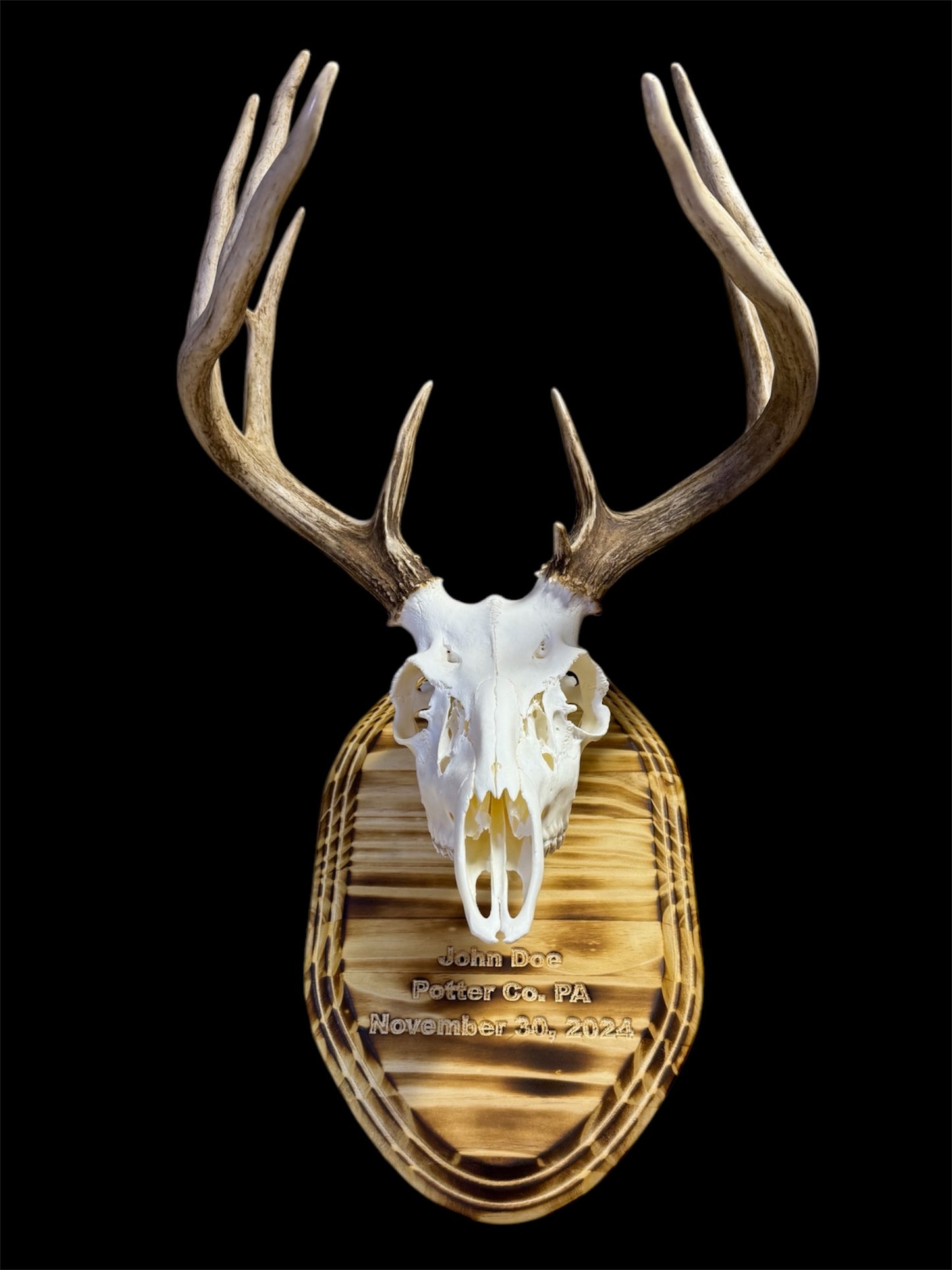 Custom Engraved European Mount Wall Display Plaque with Skull Hook