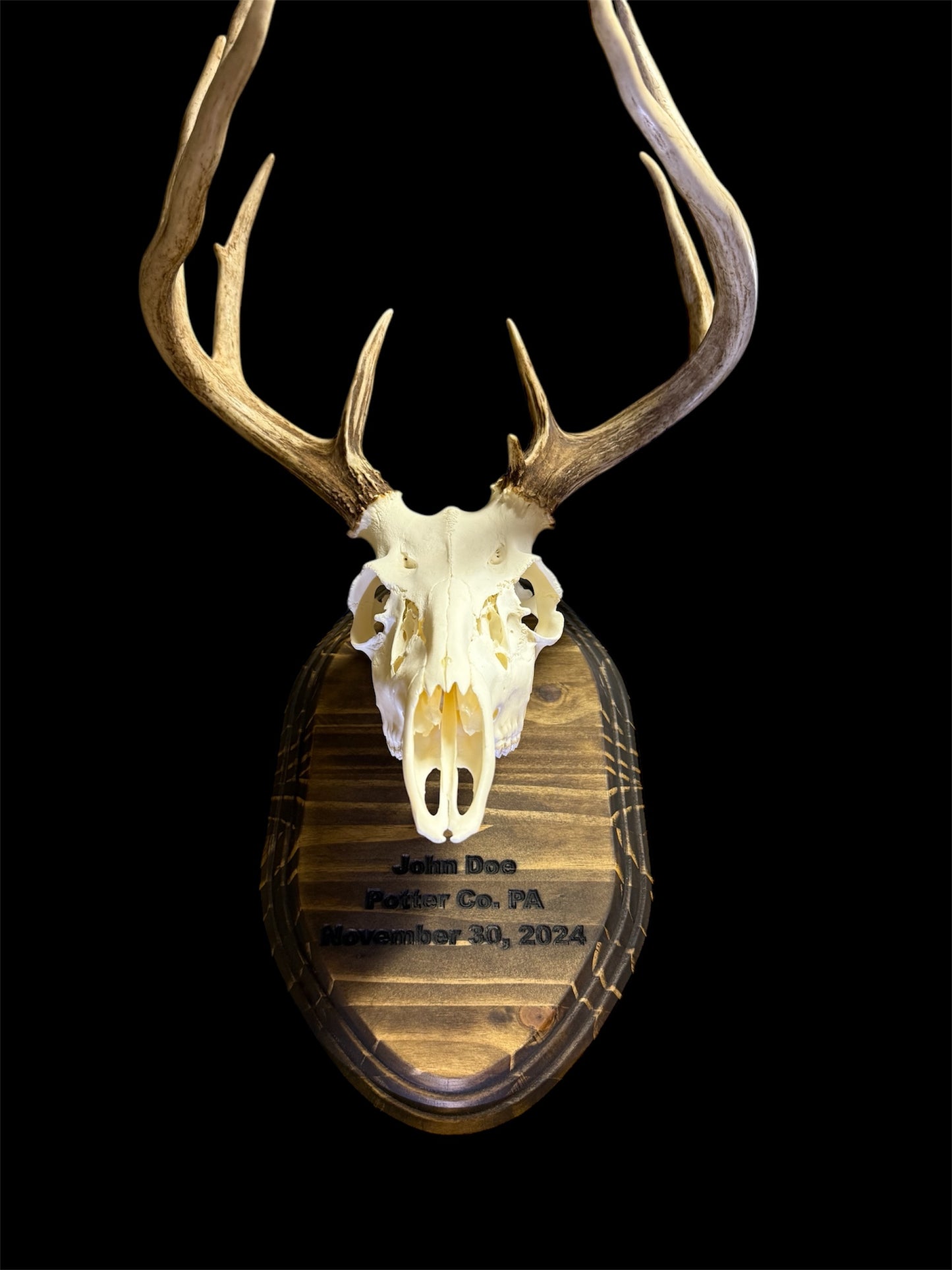 Custom Engraved European Mount Wall Display Plaque with Skull Hook