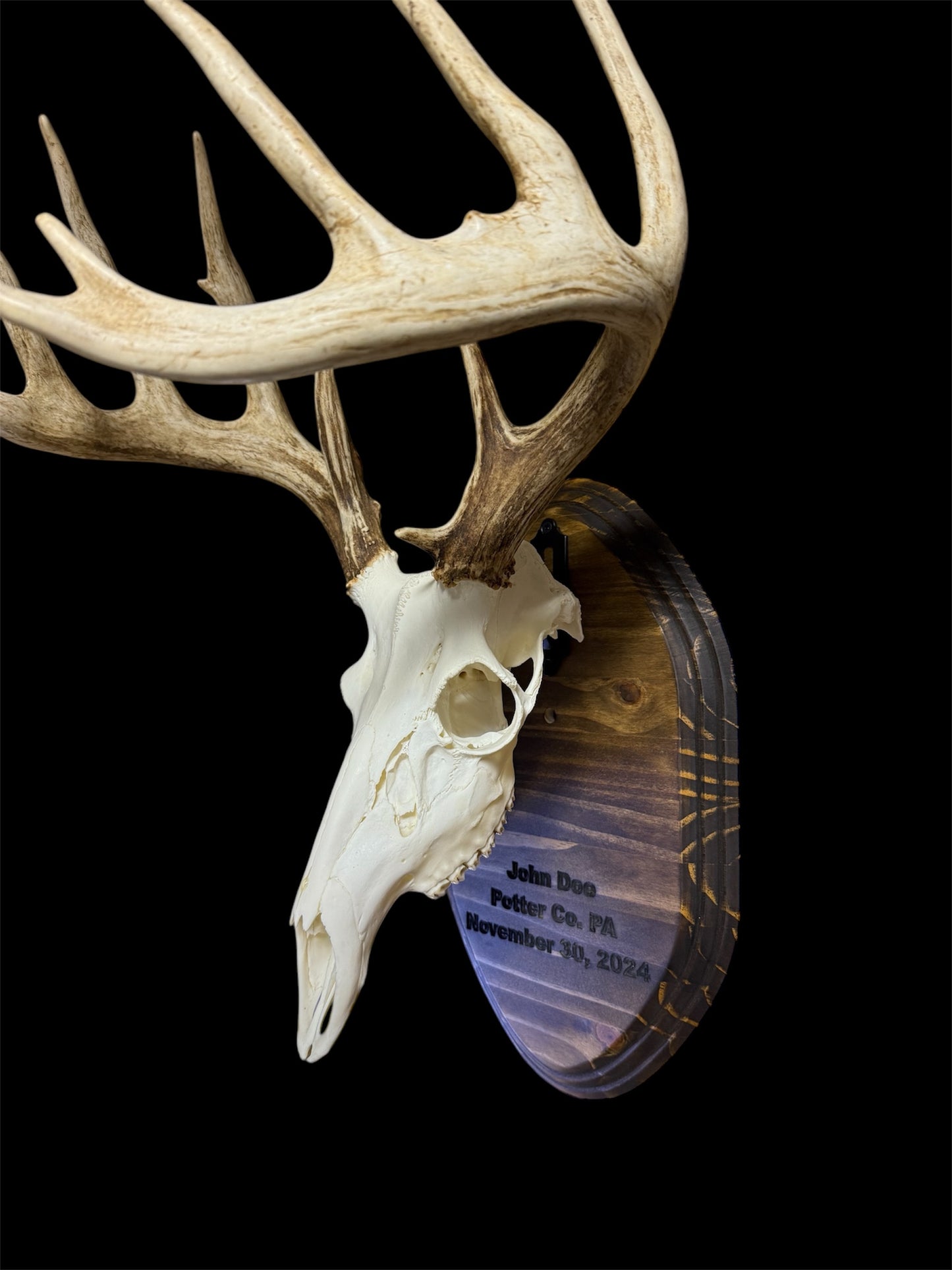 Custom Engraved European Mount Wall Display Plaque with Skull Hook