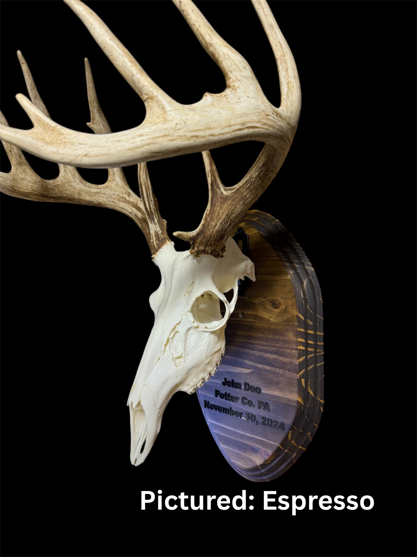 Custom Engraved European Mount Wall Display Plaque with Skull Hook