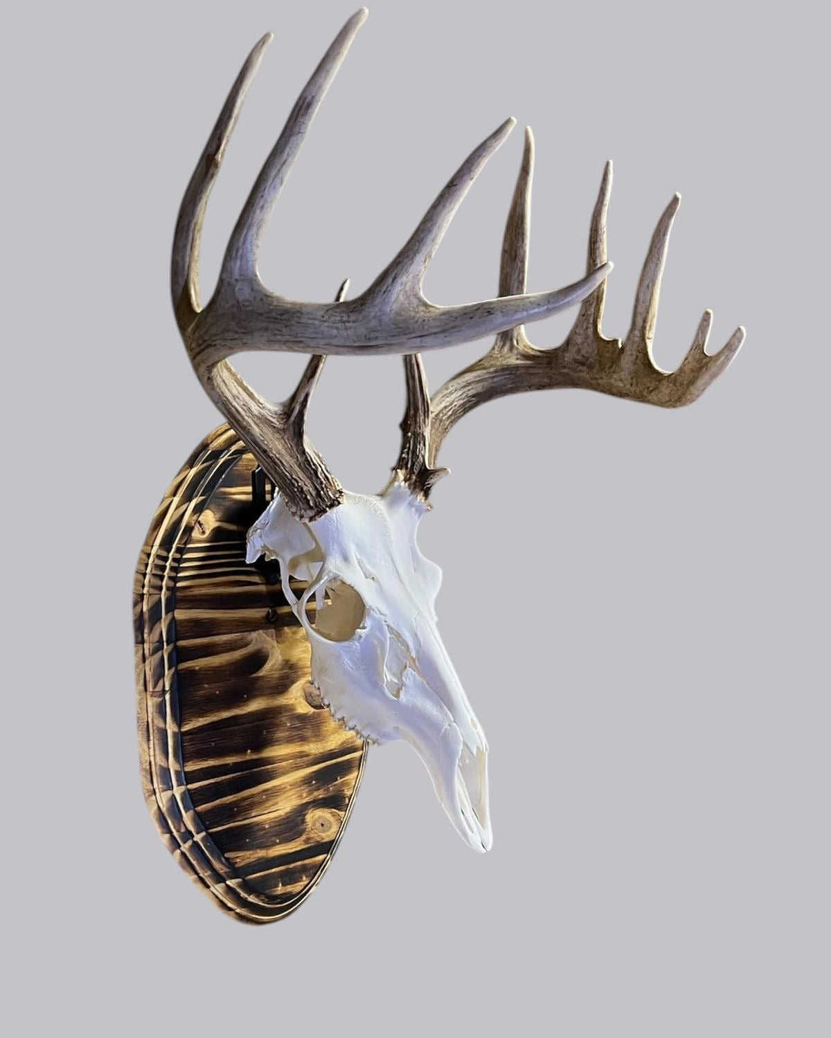 Euro Mount Display Plaques
