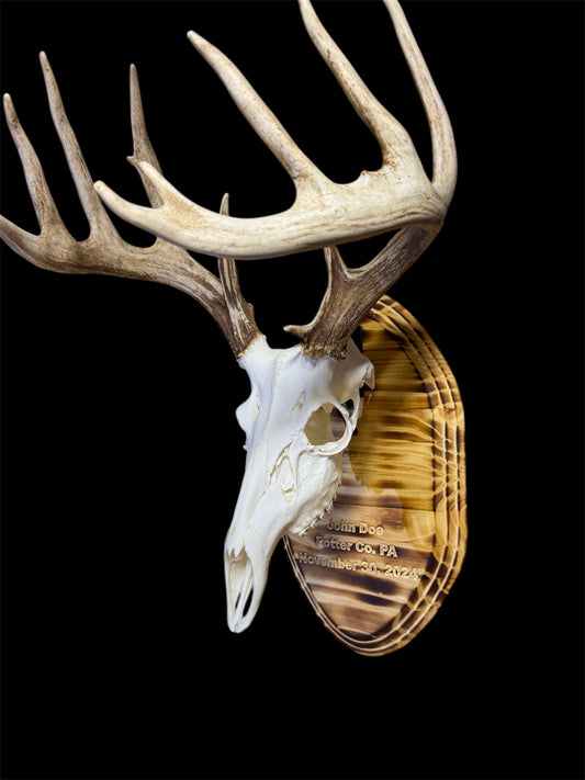 Custom Engraved European Mount Wall Display Plaque with Skull Hook